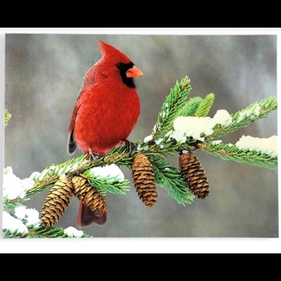 Meet your Posher, Angela - Picture 1 of 4